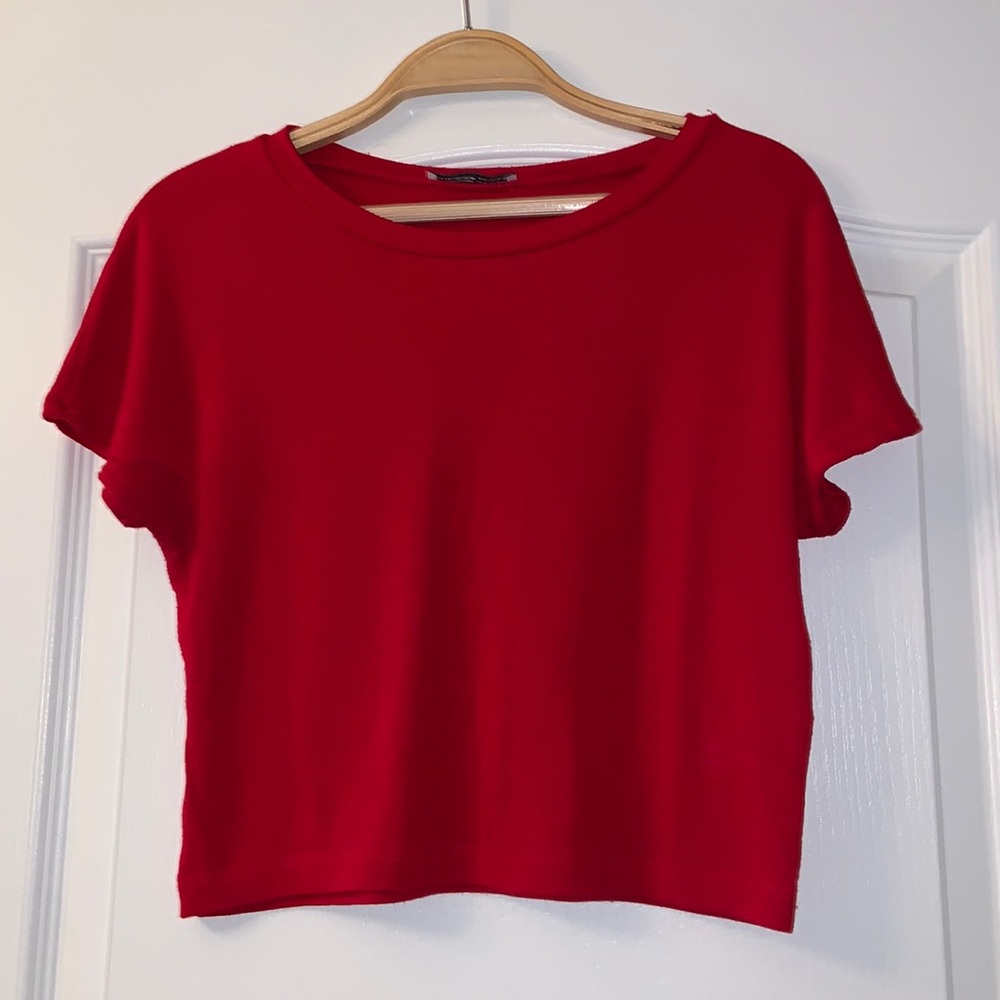 Zara Fitted Crop Top